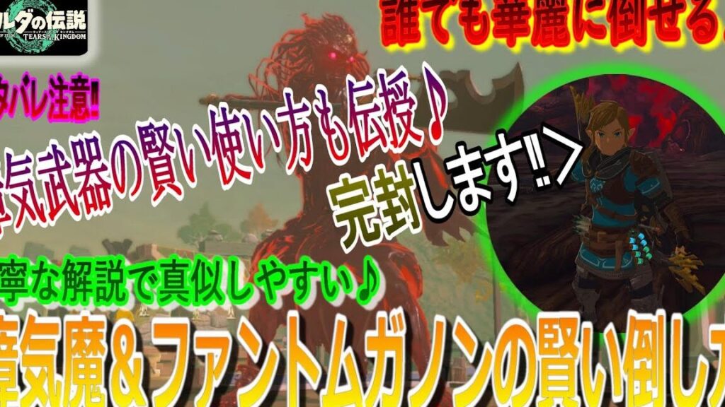 ファントムガノンのキャラクターと戦闘スタイル一覧