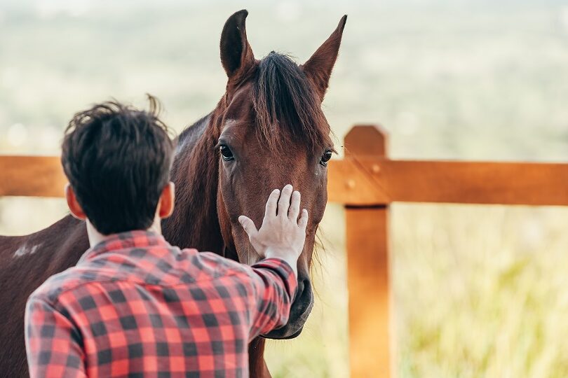 一口馬主とは何か？特徴やメリットを詳しく解説